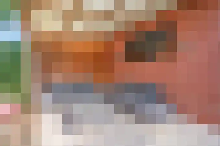 Dirk van Weelaan 1 A Hooglanderveen thumbnail 25