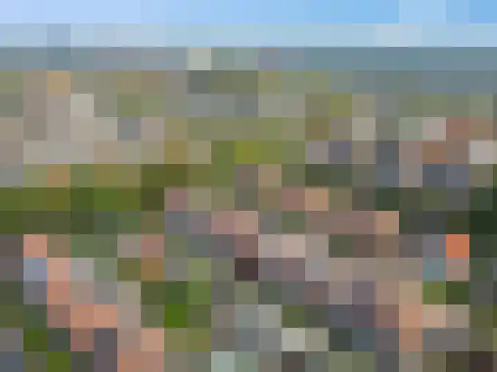 Dirk van Weelaan 1 A Hooglanderveen thumbnail 31
