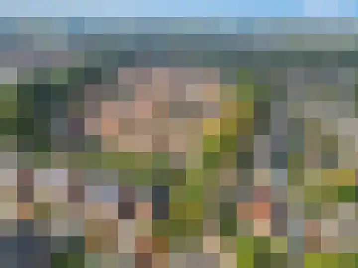 Dirk van Weelaan 1 A Hooglanderveen thumbnail 32