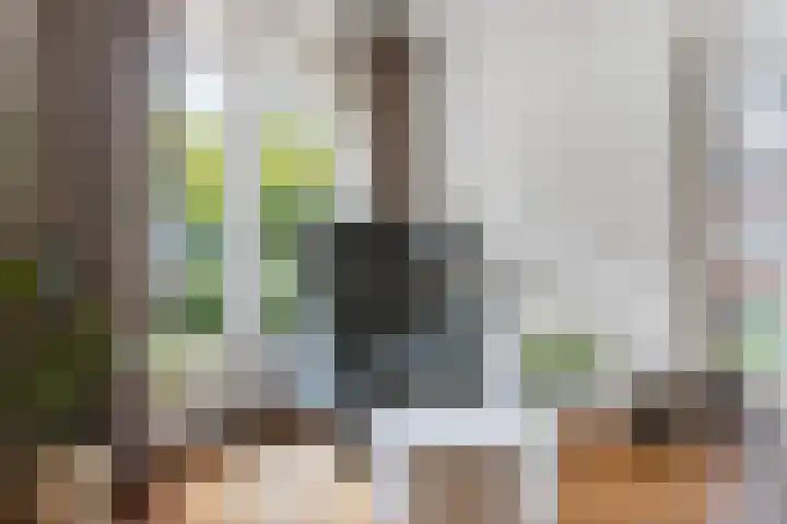 Dirk van Weelaan 13 Hooglanderveen thumbnail 11