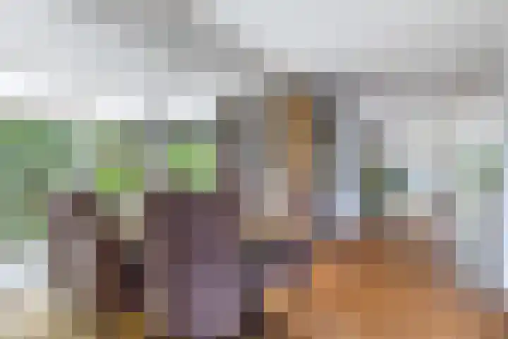 Dirk van Weelaan 13 Hooglanderveen thumbnail 14