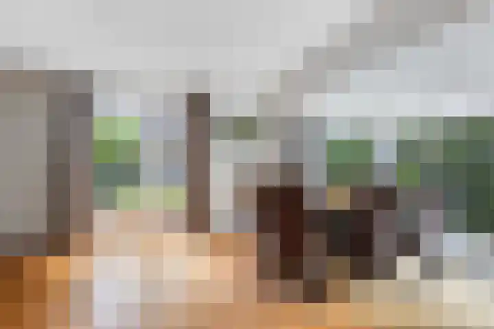 Dirk van Weelaan 13 Hooglanderveen thumbnail 15