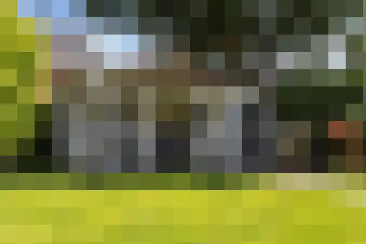 Dirk van Weelaan 13 Hooglanderveen thumbnail 24