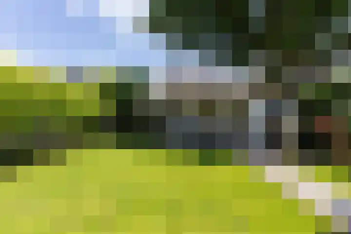 Dirk van Weelaan 13 Hooglanderveen thumbnail 25