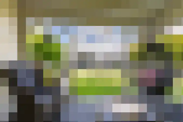 Dirk van Weelaan 13 Hooglanderveen thumbnail 27