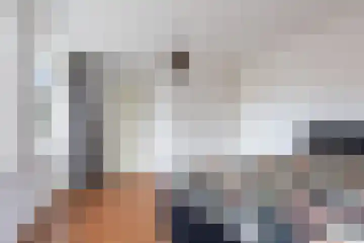Dirk van Weelaan 13 Hooglanderveen thumbnail 32