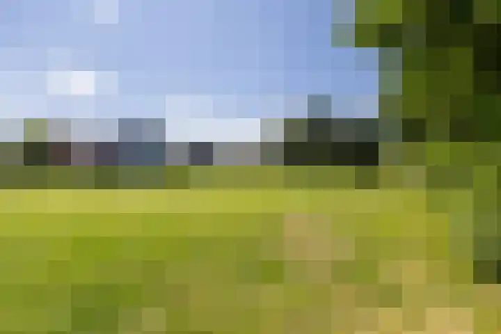Dirk van Weelaan 13 Hooglanderveen thumbnail 46