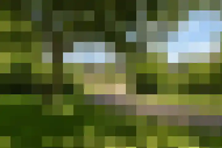 Dirk van Weelaan 13 Hooglanderveen thumbnail 47