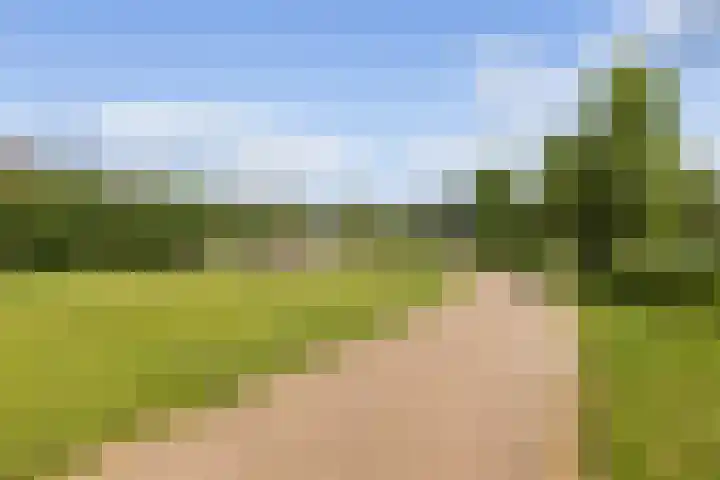 Dirk van Weelaan 13 Hooglanderveen thumbnail 48