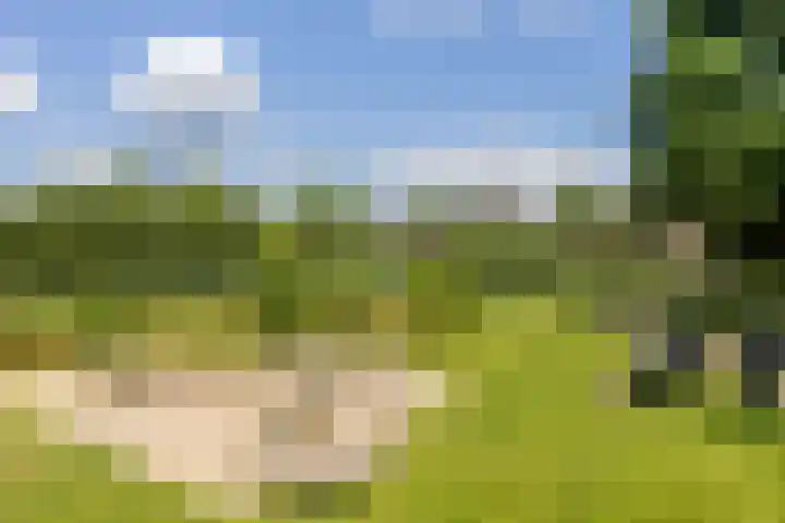 Dirk van Weelaan 13 Hooglanderveen thumbnail 49
