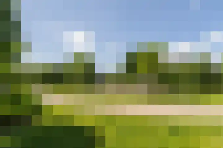Dirk van Weelaan 13 Hooglanderveen thumbnail 50