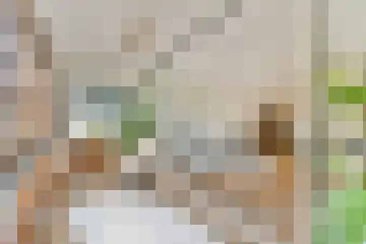 Dirk Vreekenstraat 39 Amsterdam thumbnail 8