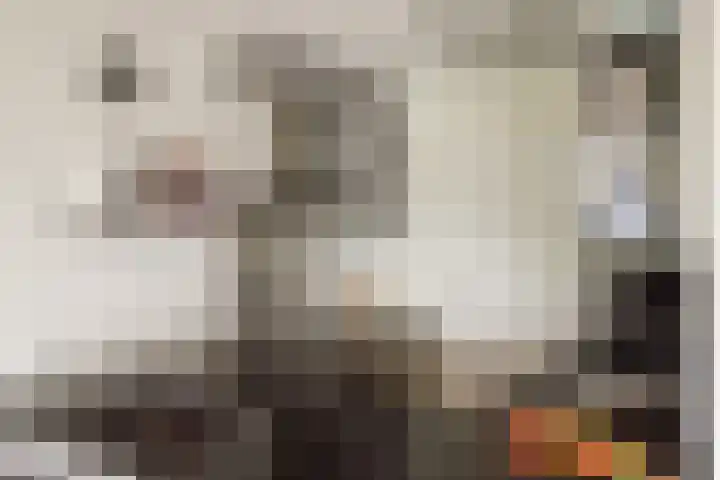 Dirk Vreekenstraat 73 Amsterdam thumbnail 9