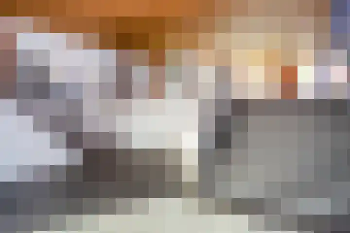 Dirk Vreekenstraat 9 Amsterdam thumbnail 7