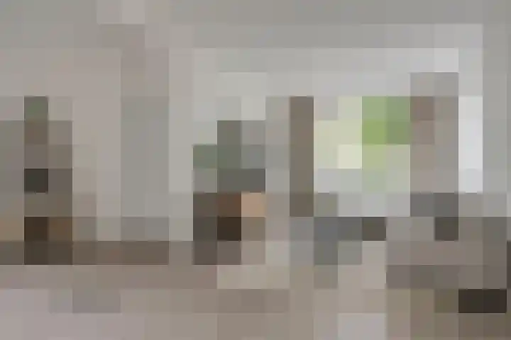 Dirk Wierengastraat 1 Enkhuizen thumbnail 9