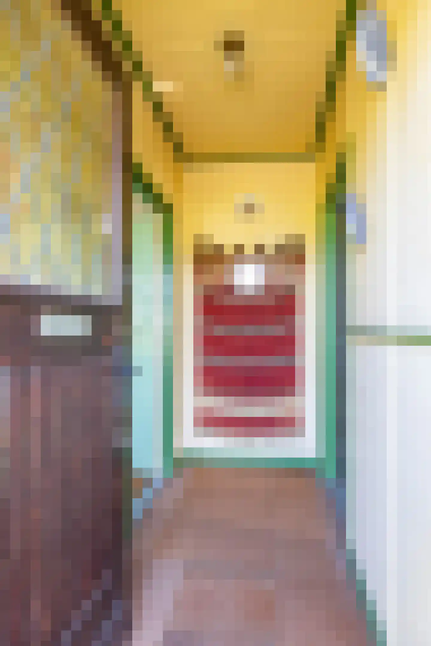 Dirk Wierengastraat 2 Westernieland thumbnail 11
