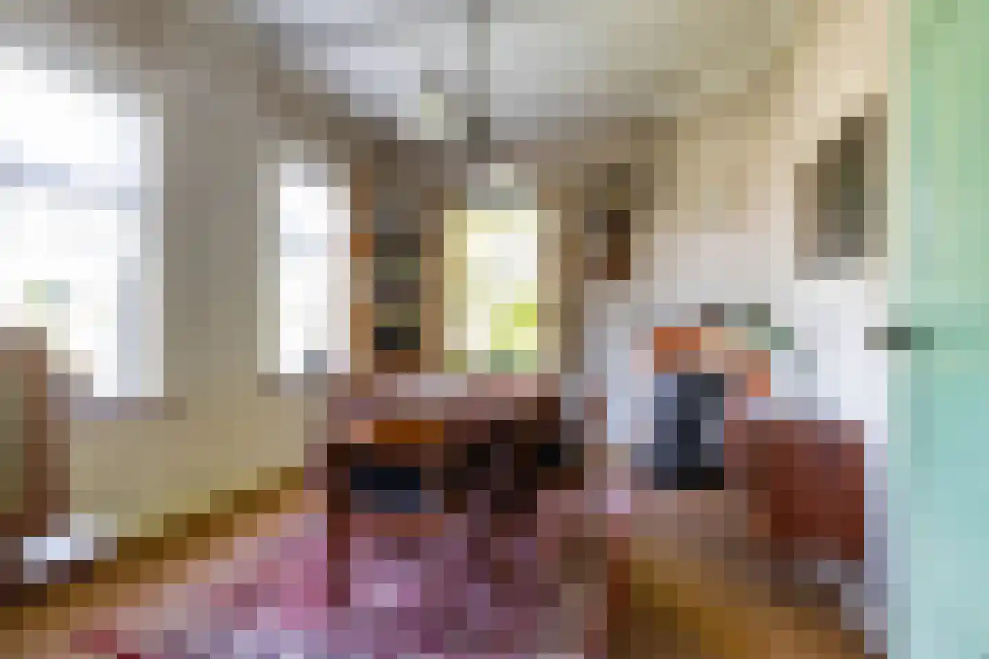 Dirk Wierengastraat 2 Westernieland thumbnail 12