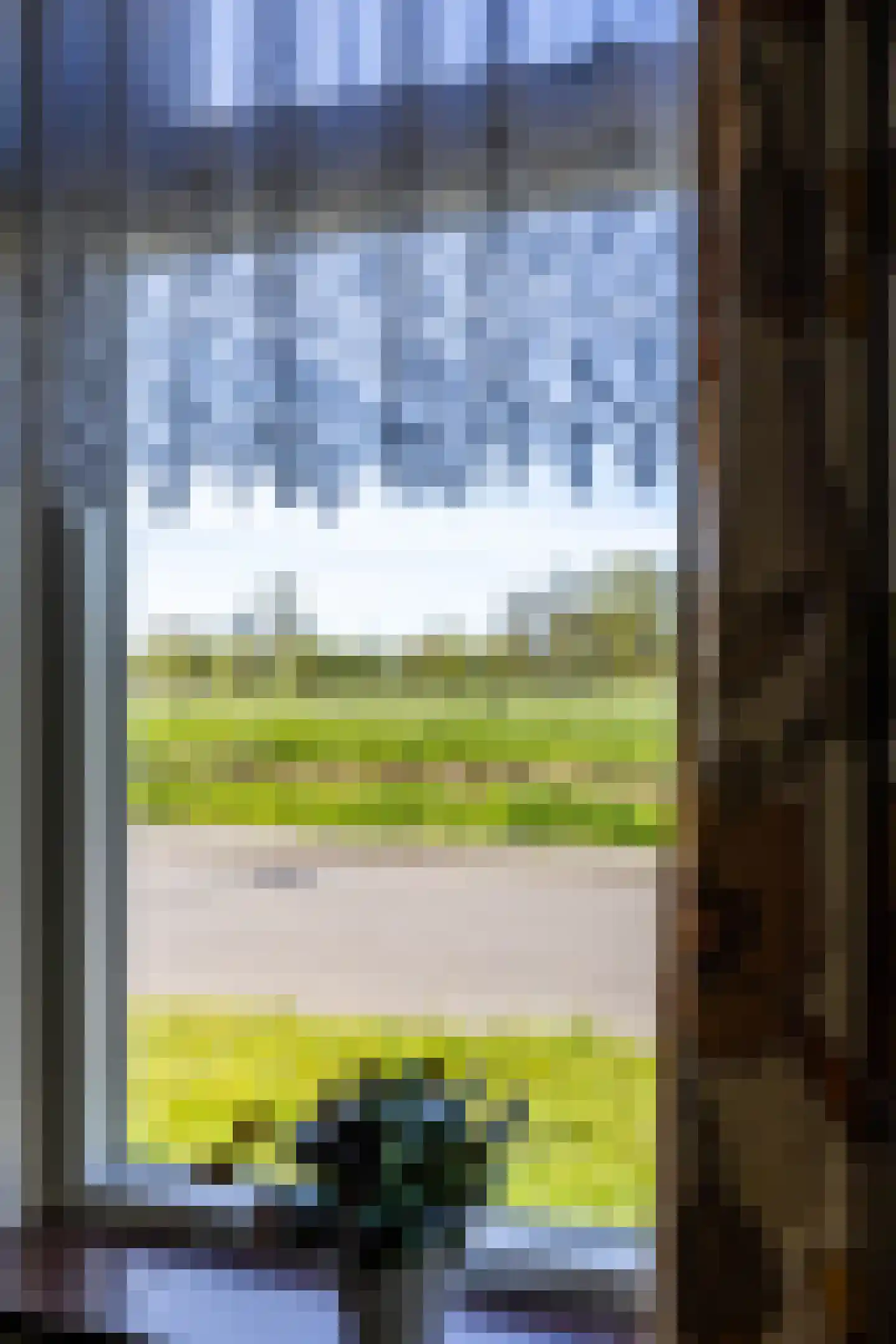 Dirk Wierengastraat 2 Westernieland thumbnail 15