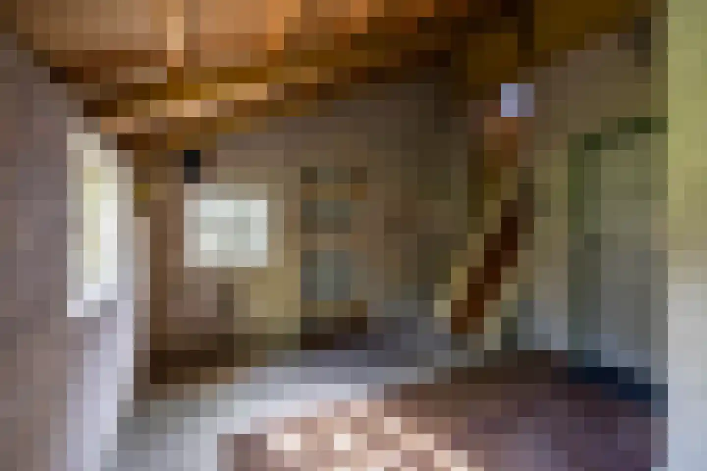 Dirk Wierengastraat 2 Westernieland thumbnail 21