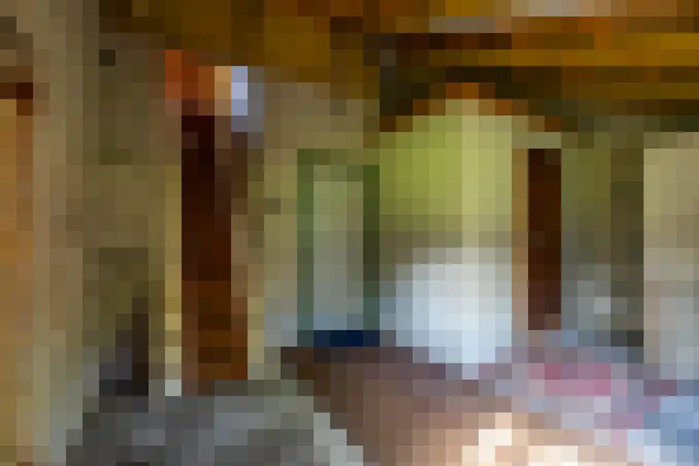 Dirk Wierengastraat 2 Westernieland thumbnail 25