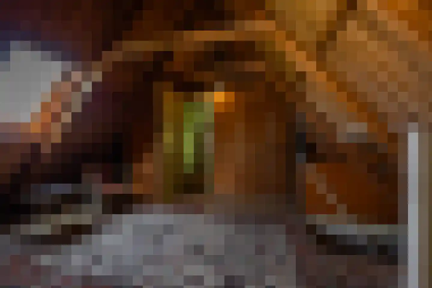 Dirk Wierengastraat 2 Westernieland thumbnail 26
