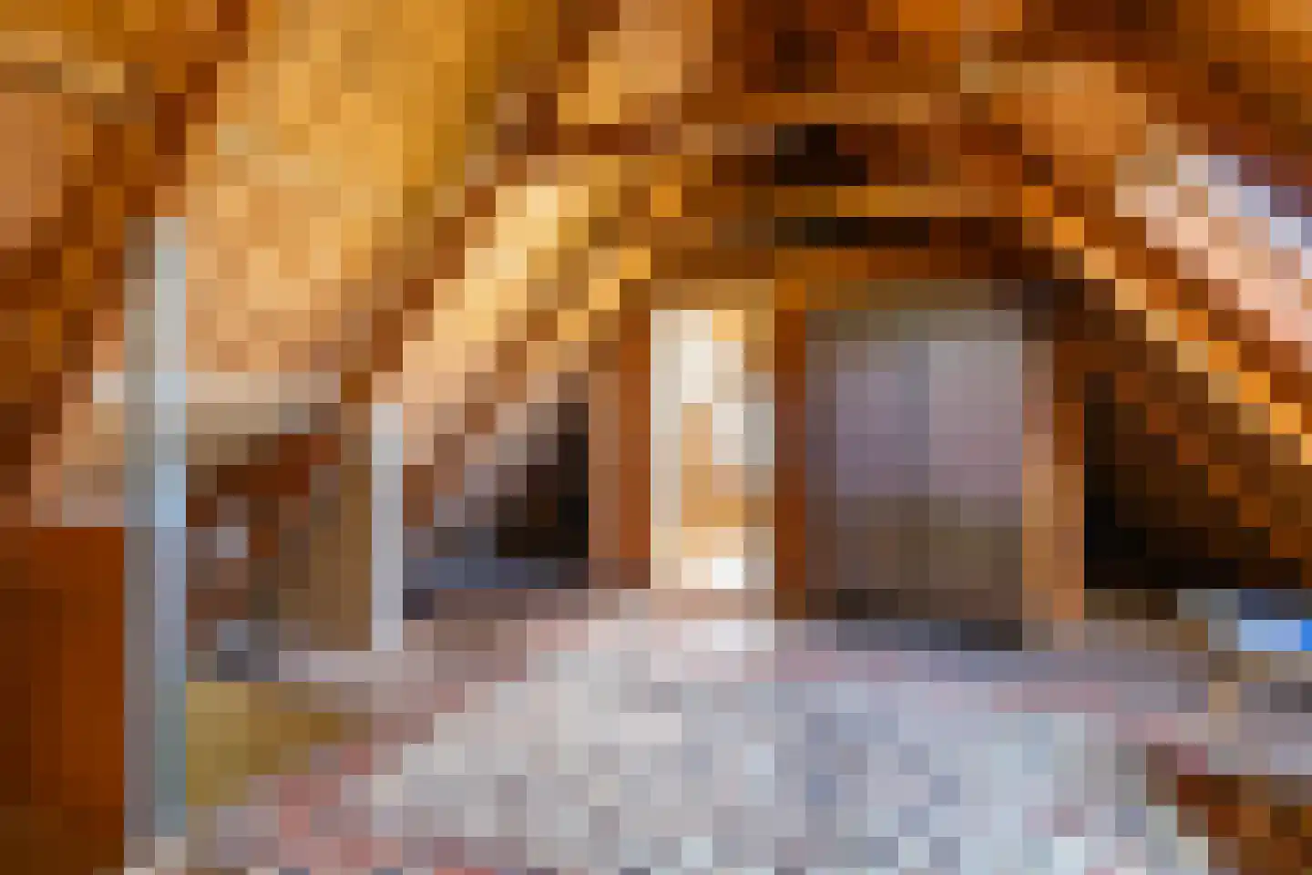 Dirk Wierengastraat 2 Westernieland thumbnail 29