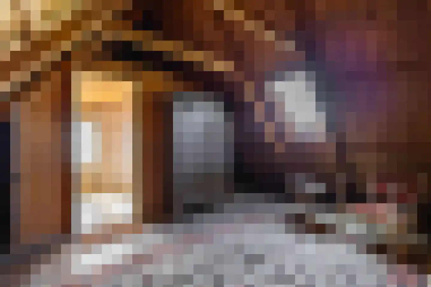 Dirk Wierengastraat 2 Westernieland thumbnail 30