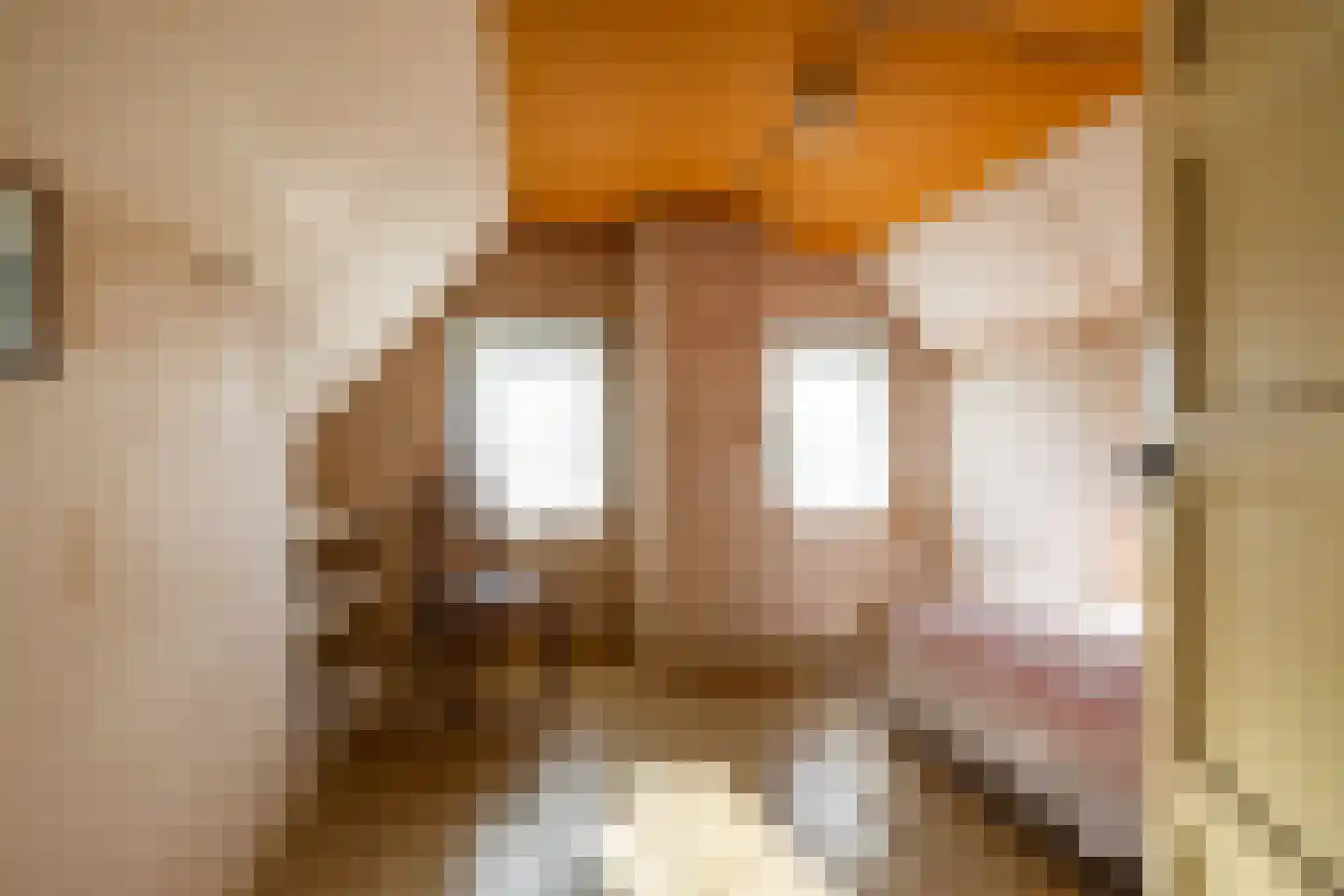 Dirk Wierengastraat 2 Westernieland thumbnail 31