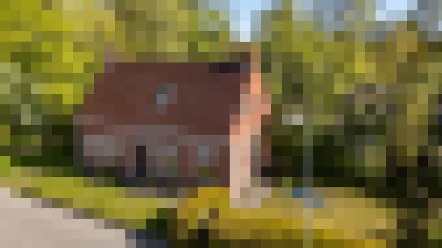 Dirk Wierengastraat 2 Westernieland thumbnail 35