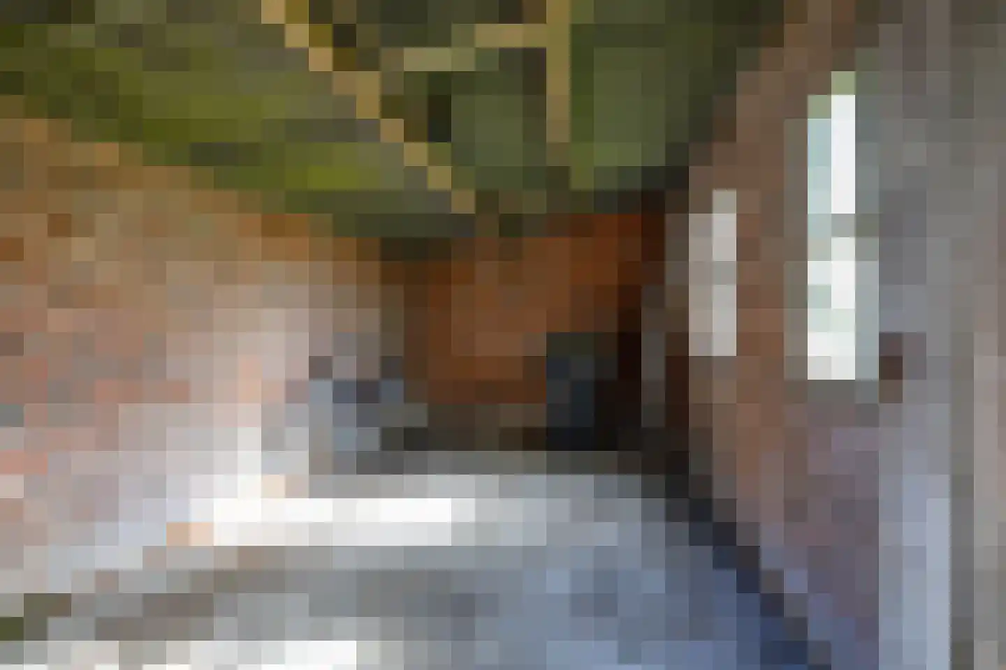 Dirk Wierengastraat 2 Westernieland thumbnail 39