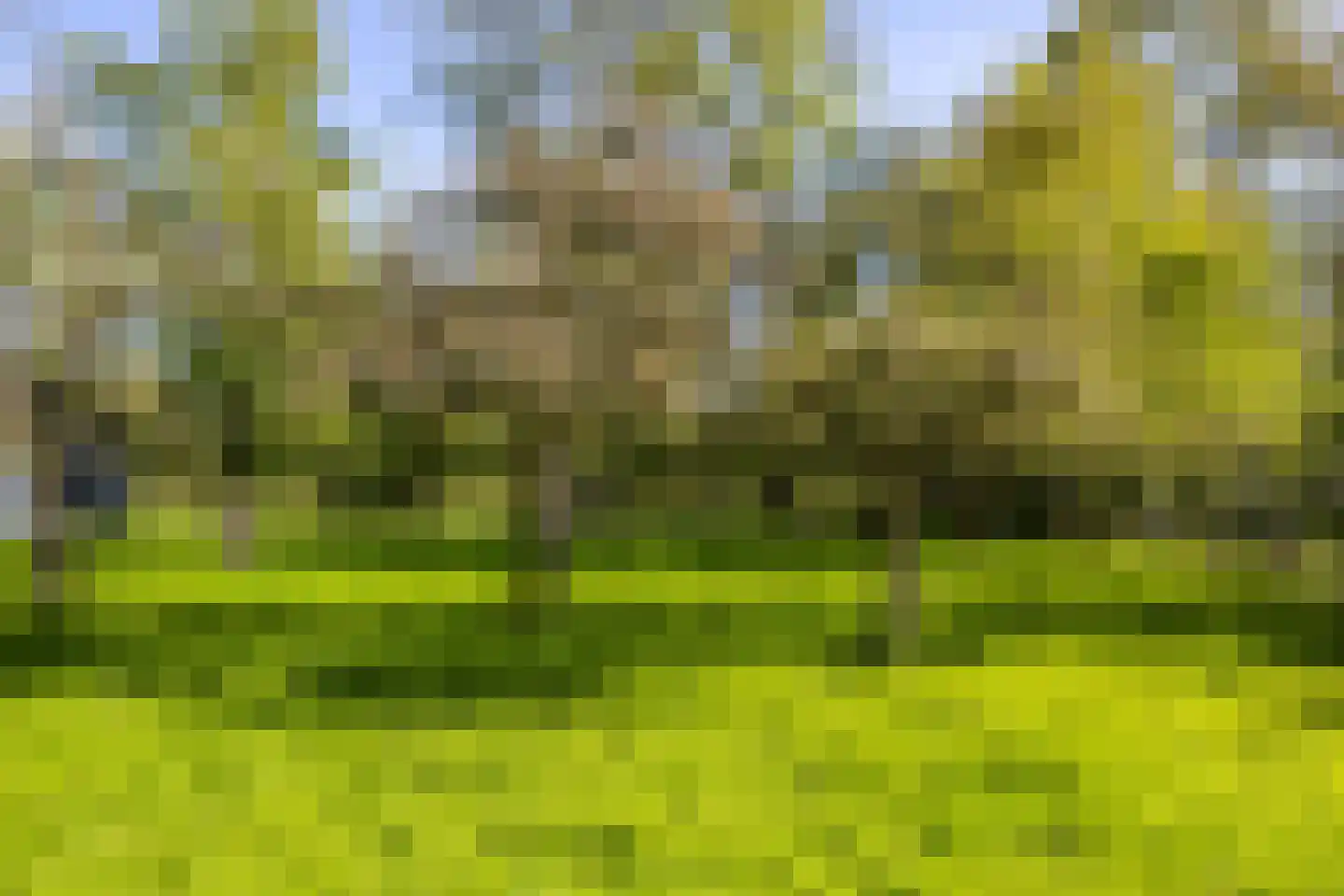 Dirk Wierengastraat 2 Westernieland thumbnail 42