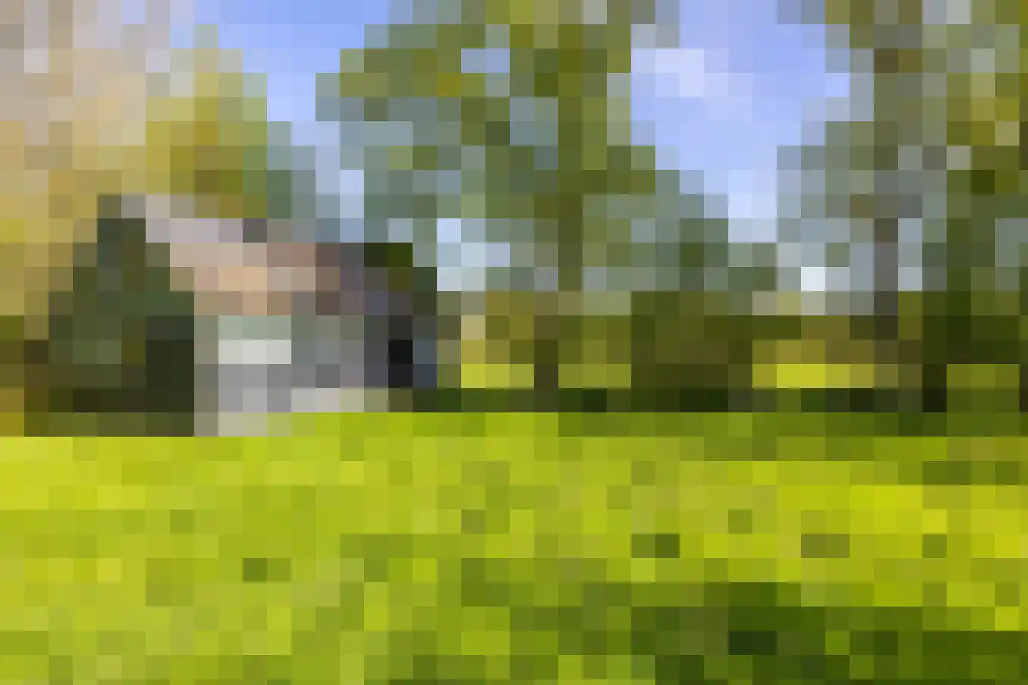 Dirk Wierengastraat 2 Westernieland thumbnail 44