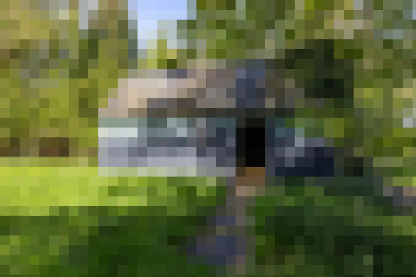 Dirk Wierengastraat 2 Westernieland thumbnail 46
