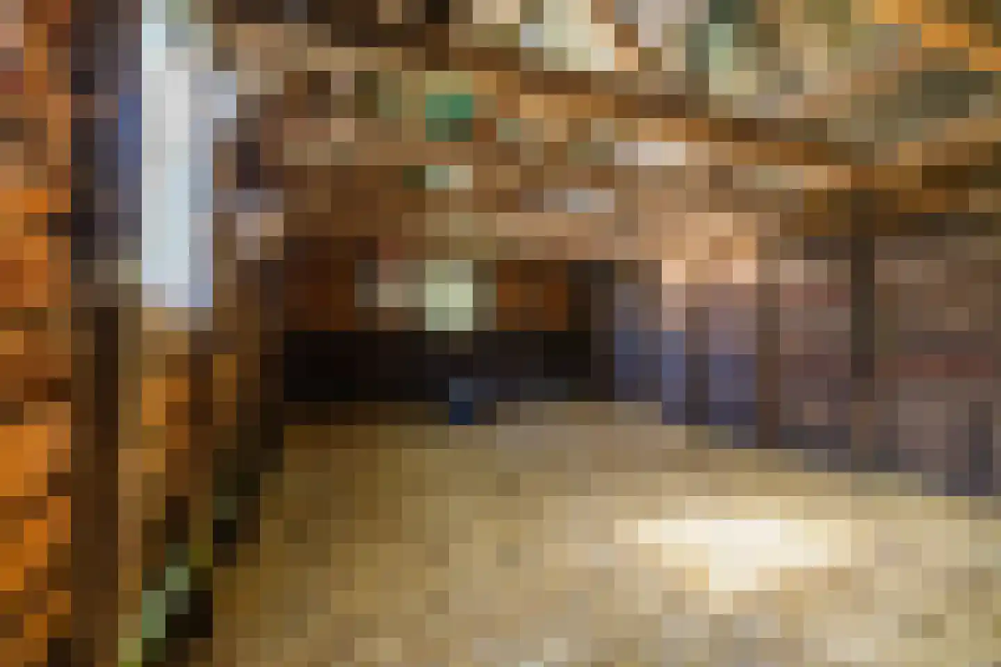 Dirk Wierengastraat 2 Westernieland thumbnail 48
