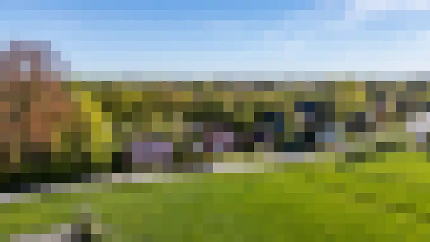 Dirk Wierengastraat 2 Westernieland thumbnail 49