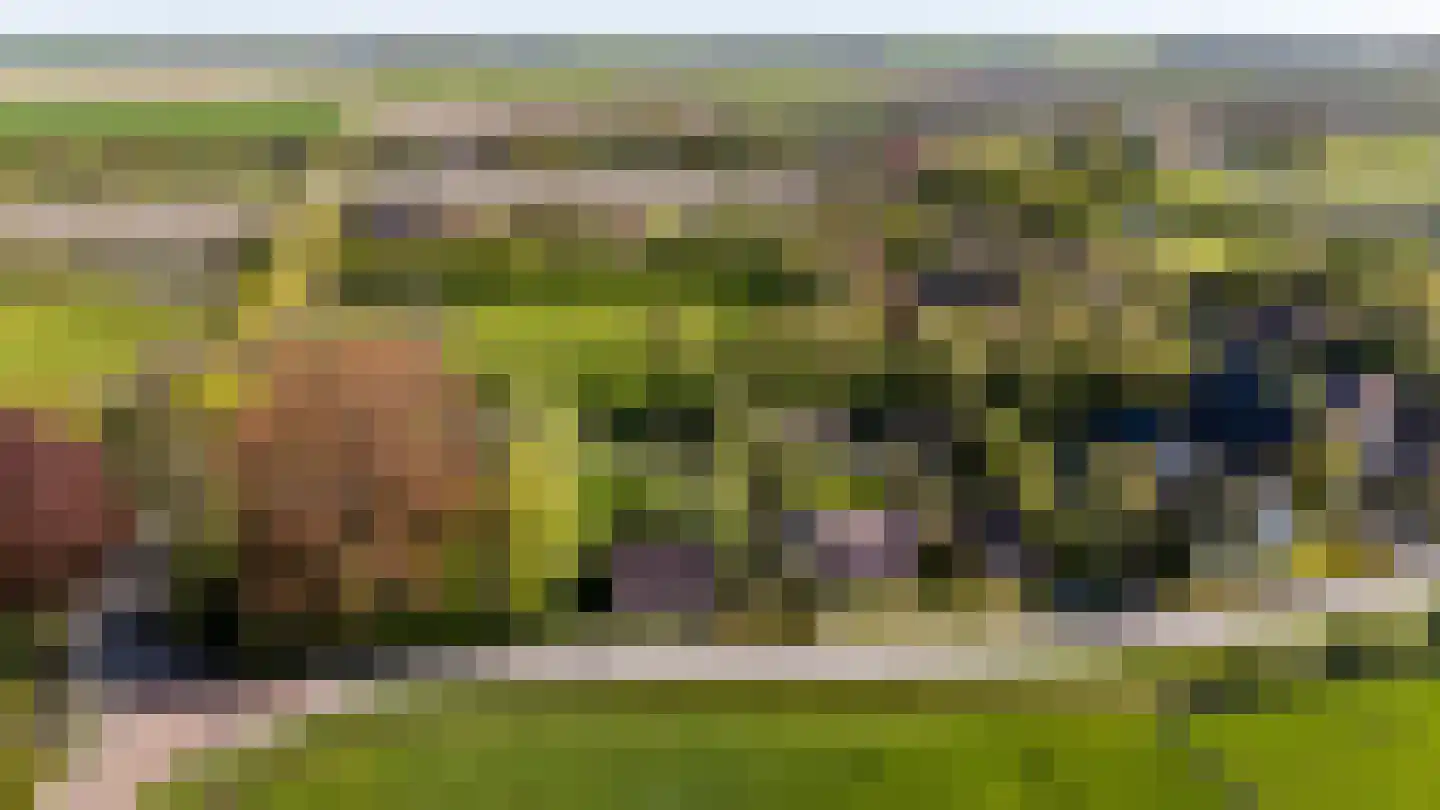 Dirk Wierengastraat 2 Westernieland thumbnail 50