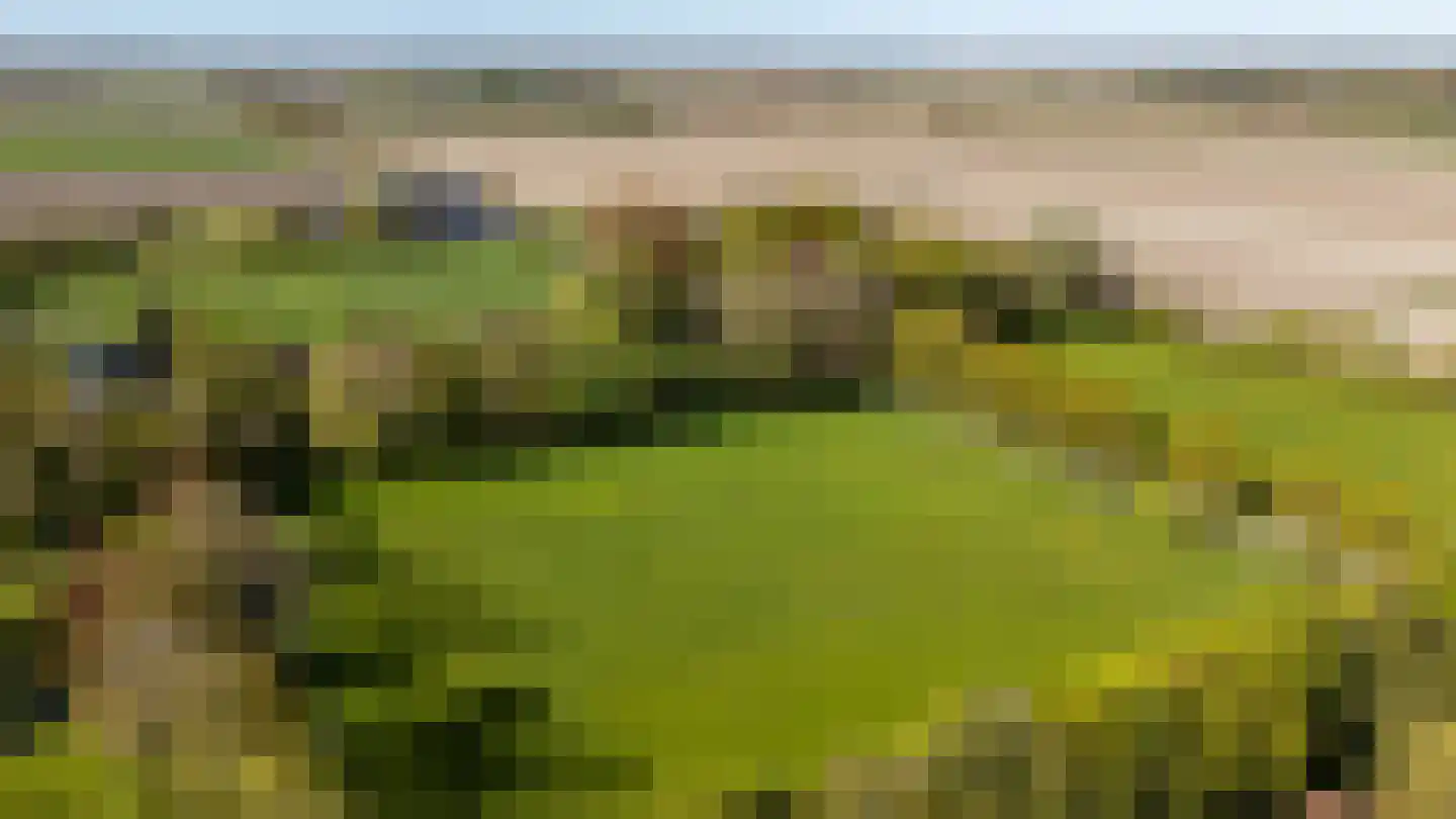 Dirk Wierengastraat 2 Westernieland thumbnail 55