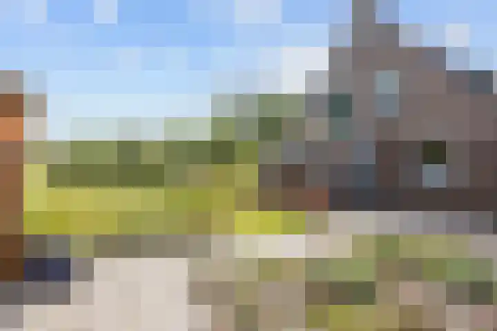 Dirk Wierengastraat 26 Westernieland thumbnail 33