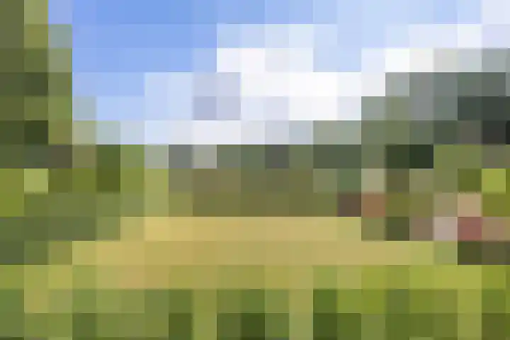 Dirk Wierengastraat 26 Westernieland thumbnail 34