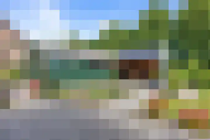 Dirk Wierengastraat 26 Westernieland thumbnail 4