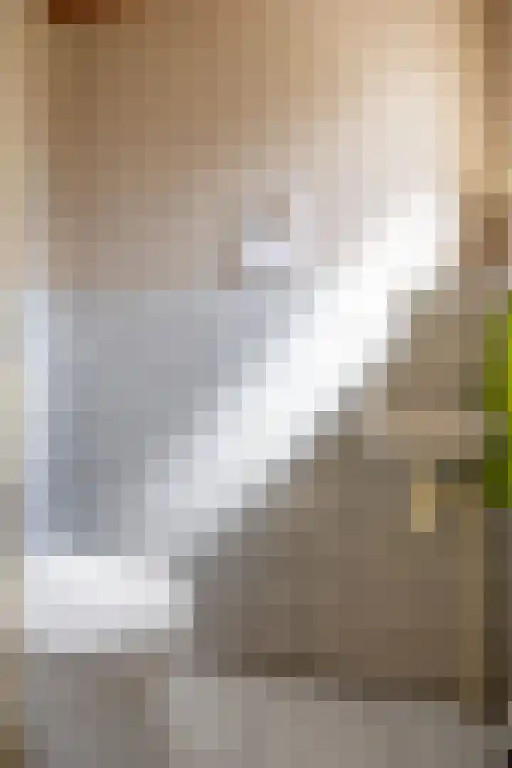 Dirk Wierengastraat 26 Westernieland thumbnail 8