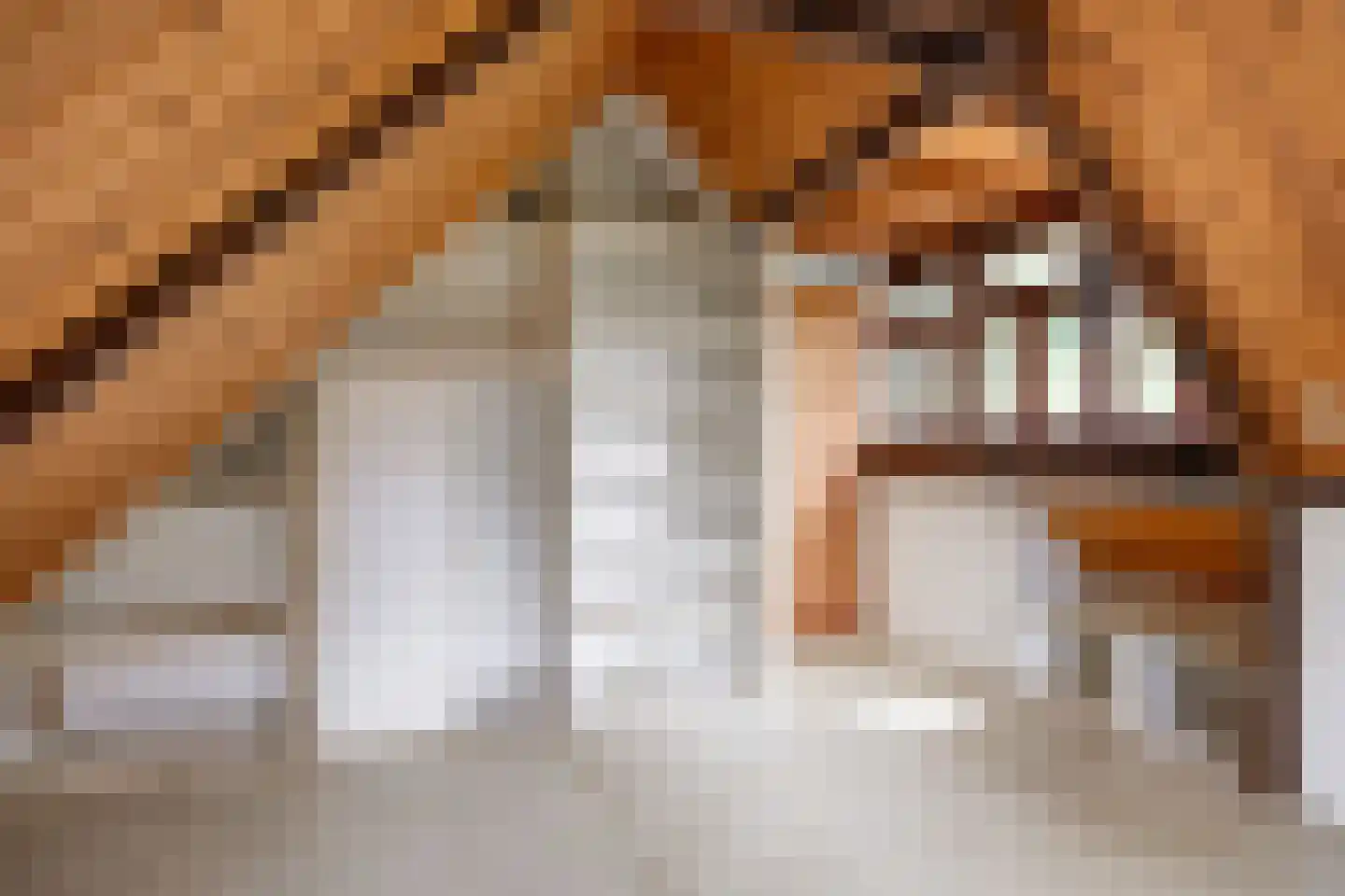 Dirk Wierengastraat 54 Westernieland thumbnail 17