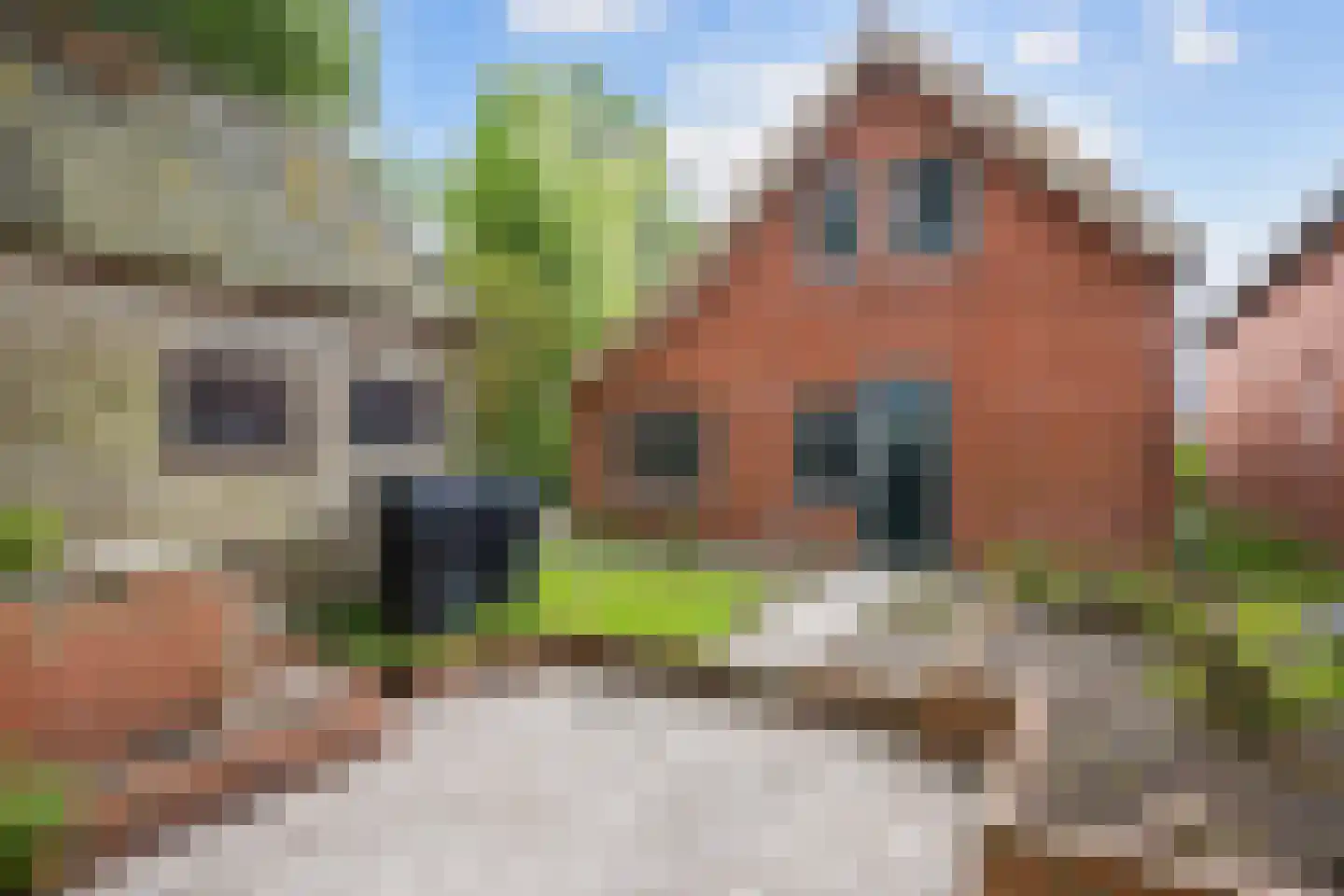 Dirk Wierengastraat 54 Westernieland thumbnail 19