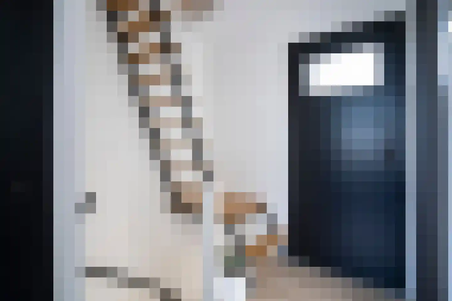 Dirk Willemszstraat 15 Asperen thumbnail 16