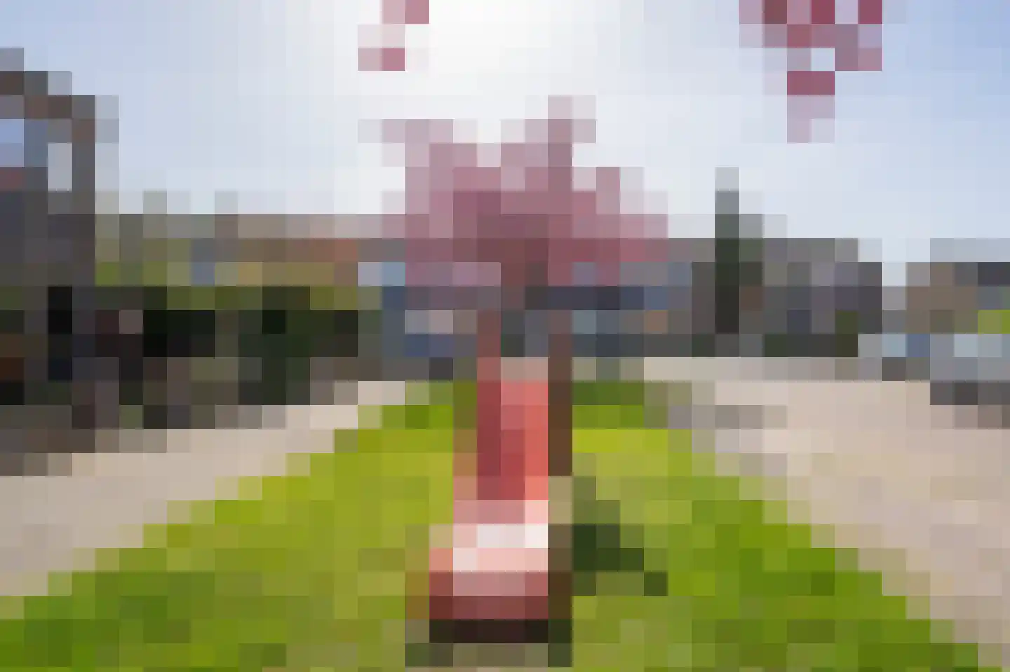 Dirk Willemszstraat 15 Asperen thumbnail 28