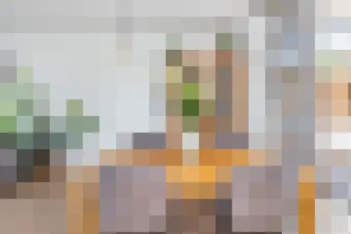 Dirk Willemszstraat 3 Asperen thumbnail 8