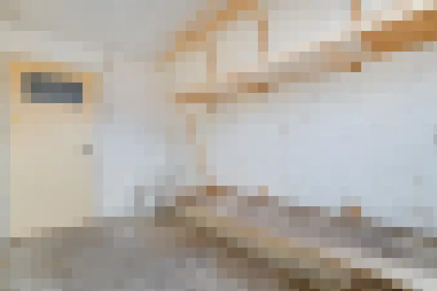Dirk Wittehof 10 Amsterdam thumbnail 14