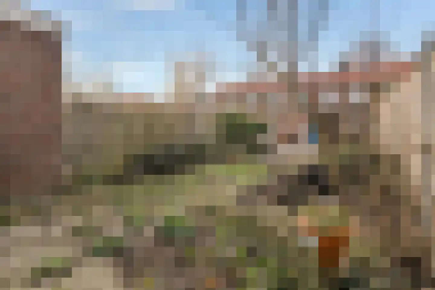 Dirk Wittehof 10 Amsterdam thumbnail 28