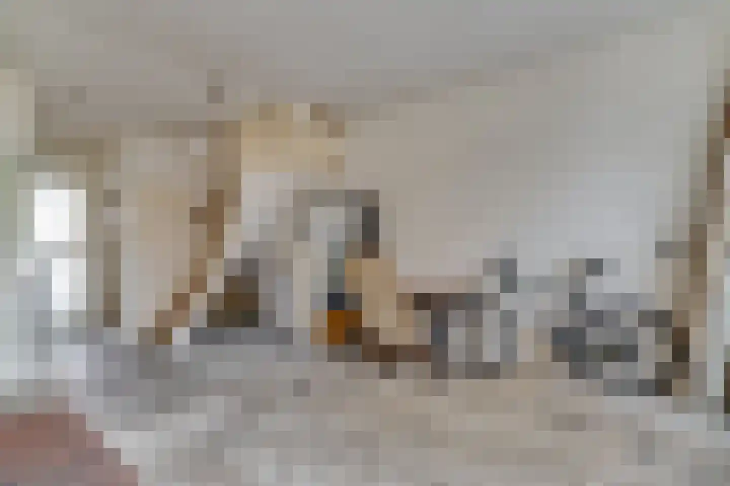 Dirk Wittehof 10 Amsterdam thumbnail 8