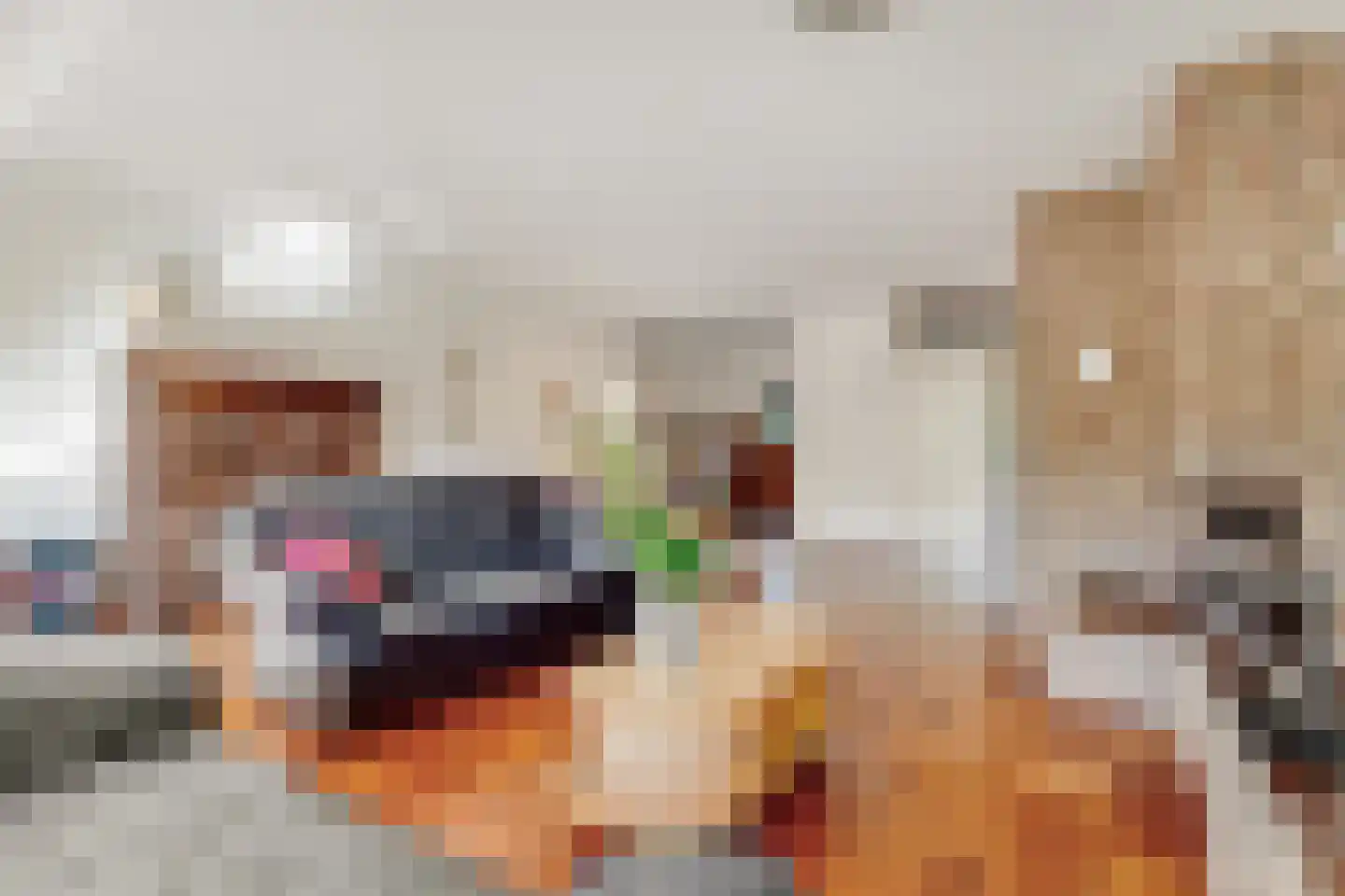 Dirk Wittelaan 5 Utrecht thumbnail 11